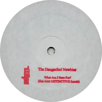 The Dangerfeel Newbies "What Am I Here For?" (Kai Alcé DISTINCTIVE Remixes)